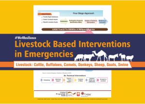 livestockbased_intervention_thumbnail