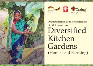 Homestead-Farming-Bihar-Thumbnail.jpg