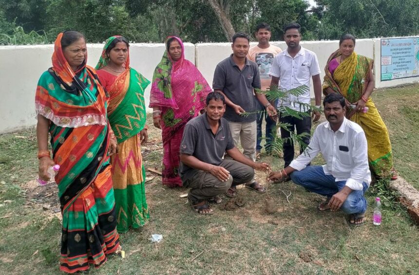 Ganjam planted natural defence mechanisms to reduce climate risks during World Environment Day