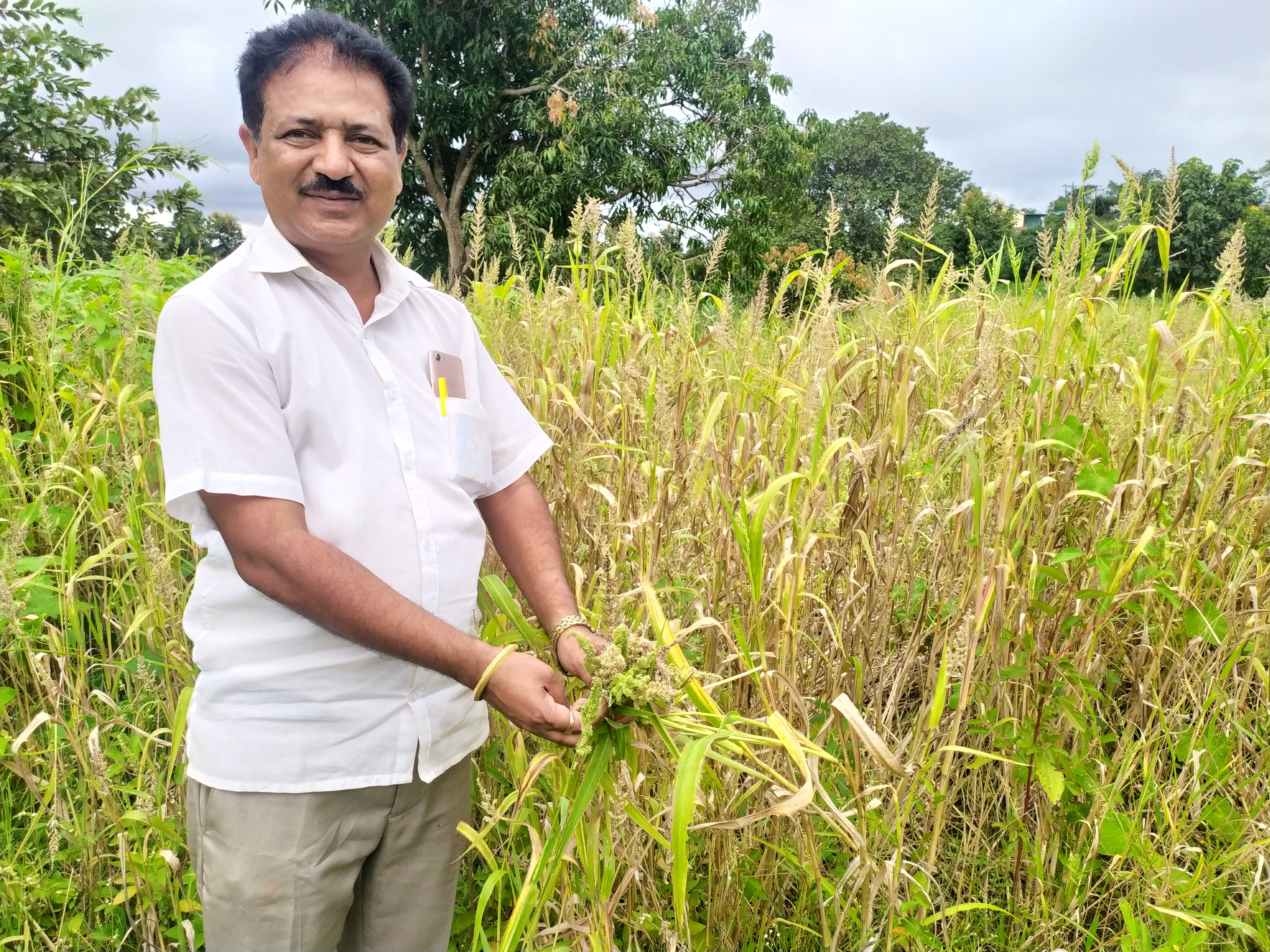 Unlocking the Potential: White Sandalwood Farming and Market Dynamics  Revealed - Video Summarizer - Glarity