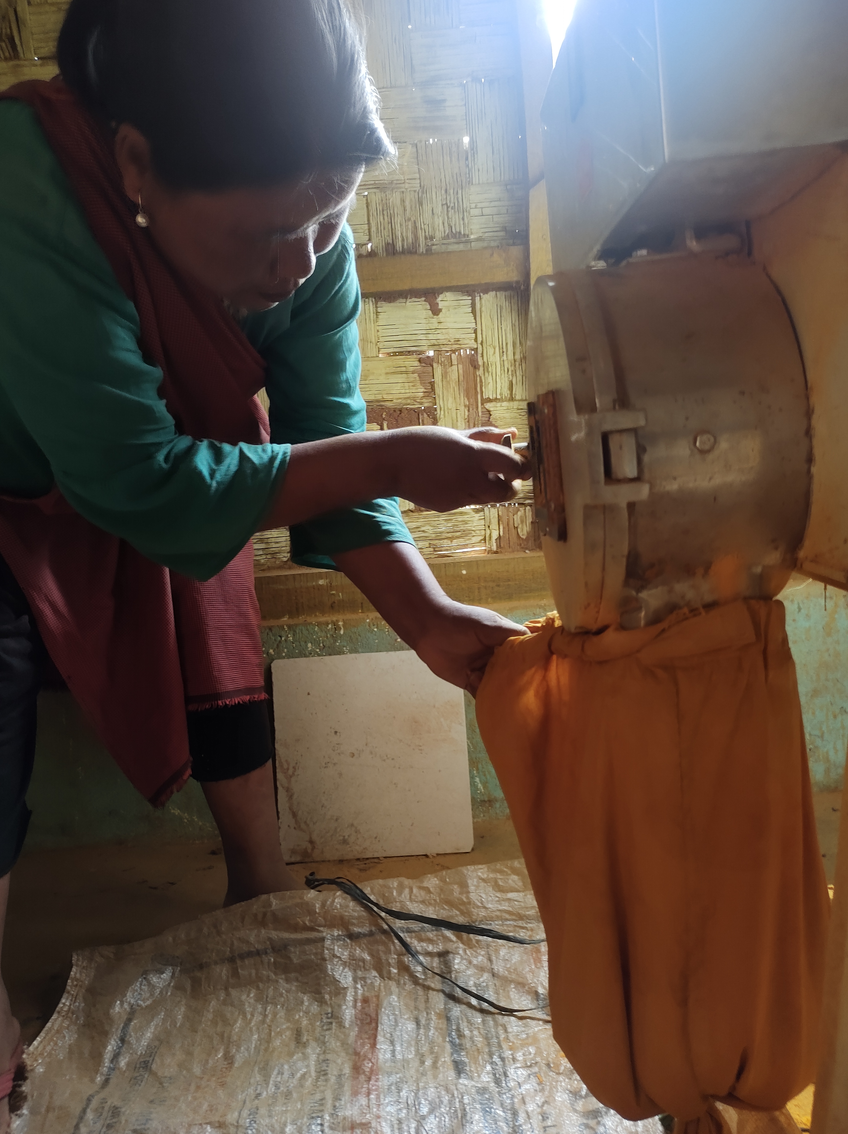 Simple processing helps turmeric farmers to earn more