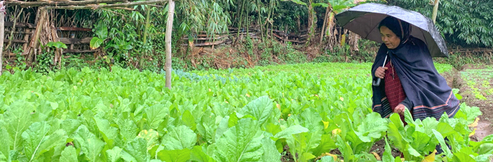 A farmer restoring traditional agriculture system that was sustainable and resilient