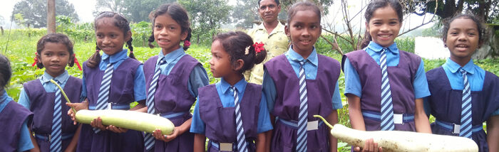 Transforming School Grounds into Nutritional Havens