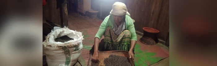 A single mother’s quest to cultivate a future of nutritional abundance
