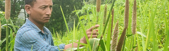 Millets and Integrated Farming hold the key to food security and biodiversity