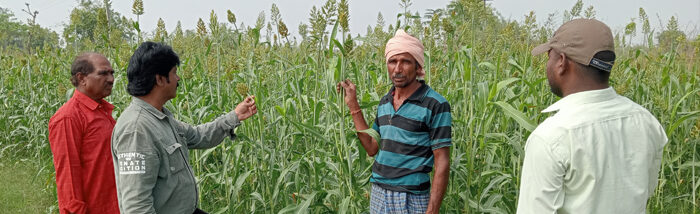 A switch to organic farming could increase farmers income