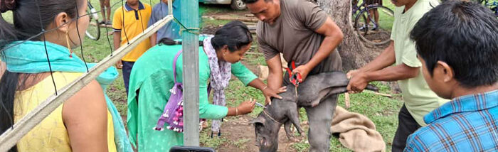 Reviving Livelihoods and Restoring Hope in Assam Flood-Affected Areas