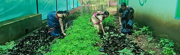 From Strength to Strength: The Inspiring Journey of an SHG promoted under U3 program