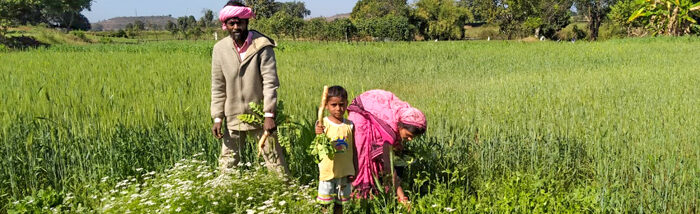I’ve stopped migrating for work and now make a good living in my own village: Balu Munsi Bhilawekar