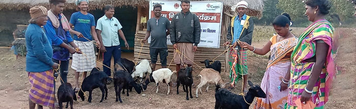 Small ruminant promotion as a source of financial security for small landholder farmers