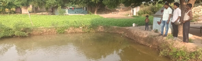 How fish farming saves smallholder farmer