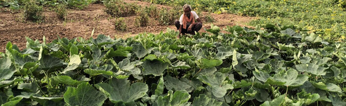 Next Gen Farmer proposes ways to boost the rural economy