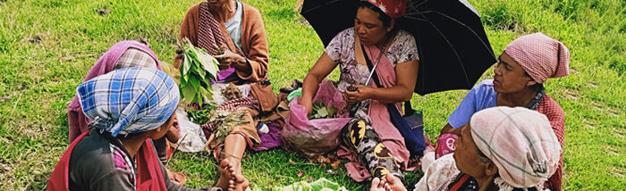 Discovering the secret of forest wild edibles to improve nutrition