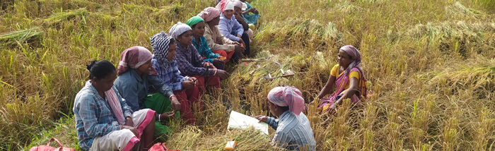 Community farming initatives change the fate of women SHG farmers