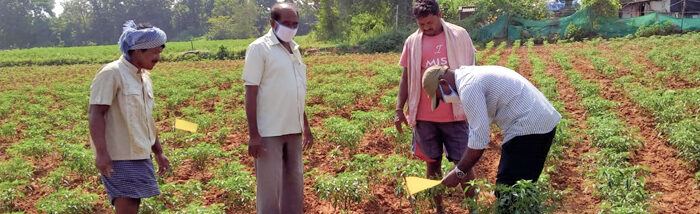 Promoting Organic Pest Management Techniques under U3 program in Telangana
