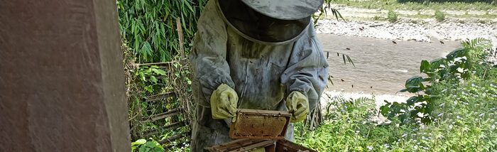 Beekeeping: The Asian honeybees provide a livelihood to Arunachal Pradesh farmers