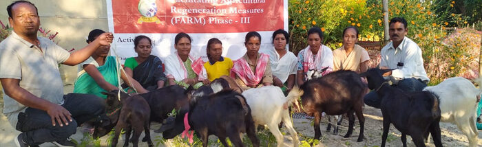 Rural women forge new livelihoods with Farm and livestock rearing