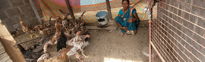 Pollution Free Poultry Farming (PFPF) led to increase in income for a struggling Family