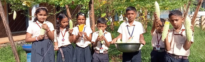 Ashakiranam Leading Student-led Organic Farming Revolution in Palai