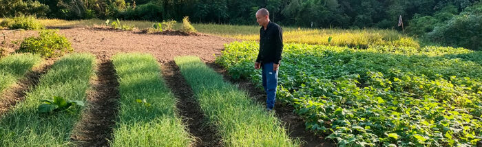 Motivated with success, Mothil diversified his cultivation for greater income