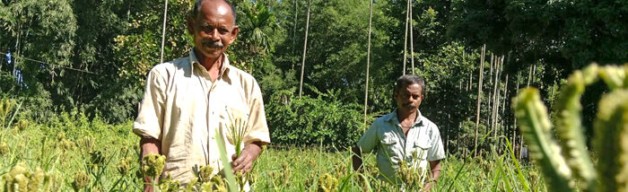 Paulus Purty’s Happy Reunion with Childhood Millet