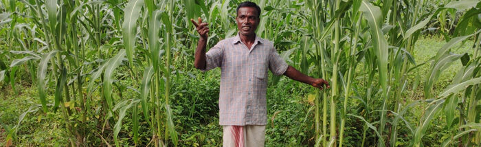 Millet Popularization event started bearing fruits