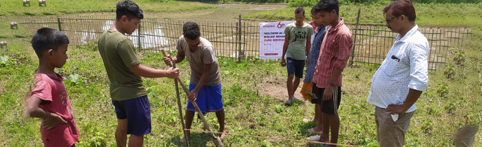 Peer-to-peer learning can encourage youth into agriculture