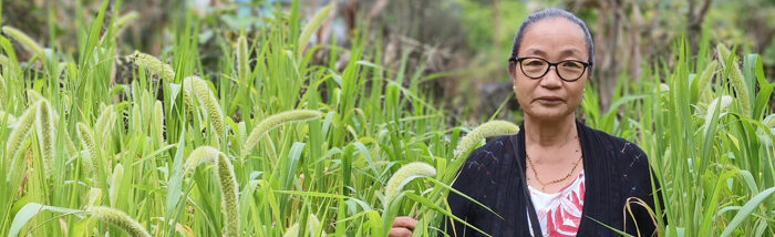 Rediscovering the Riches of Foxtail Millet