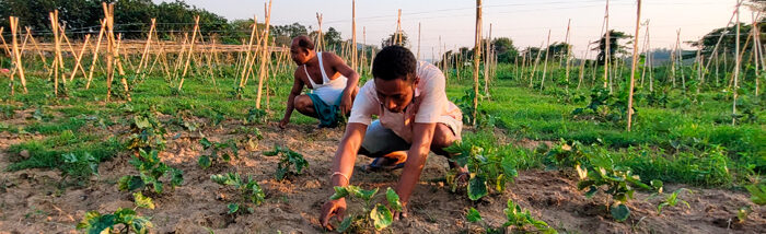 A transformation through integrated farming: The Inspiring Journey of a Meghalaya Farmer