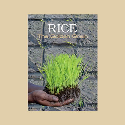 RICE – The Golden Grain