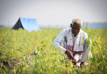 CHAYA PROJECT -Responding to Heatwave in Rajasthan
