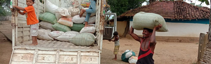 SAFBIN Helps Smallholder Farmers Thrives Economically: