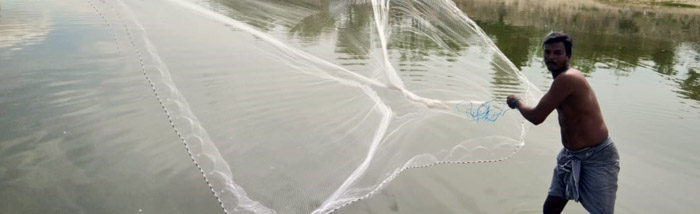 Fishnets distributed to Cyclone Gaja affected aqua farmers