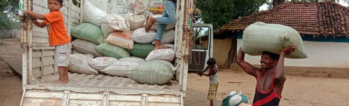 SAFBIN form of Value Chain Interventions brought Hope to Smallholder communities