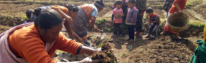 Channelizing Children: how children from Jongksha village were engaged during the lockdown