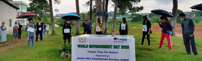 Call for mass tree-plantation to celebrate World Environment Day