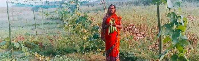 Nutritional Security was ensured during COVID-19