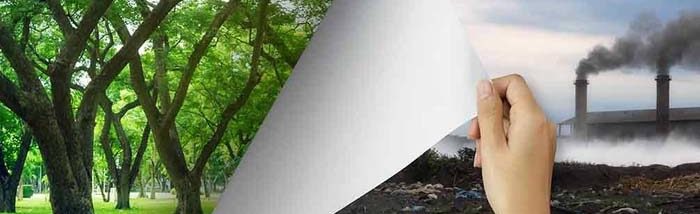 Corona: Nature reclaiming the lost space as Humans get cornered