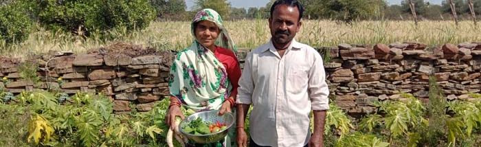 Improving Household Food & Nutrition through Diversified Homestead