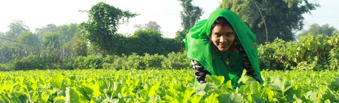 Rekha adopted integrated farming techniques to improve her farm production and income