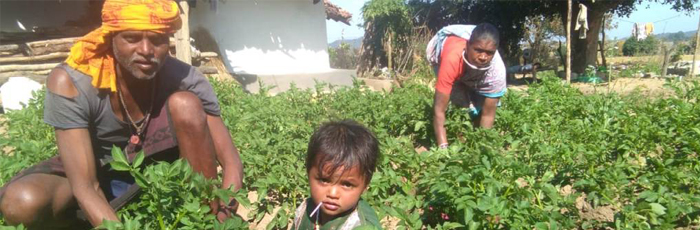 Integrated Farming System – A Viable option for Smallholder to Double their Farm Productions & Income