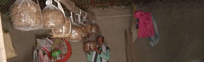 Promoting livelihood Diversification among Marginalized Farmers in Koshi Region