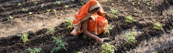 Women in Agriculture