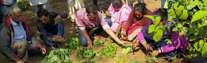Teaching sustainable use of localized integrated nutrient and pest management