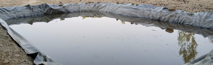 Waste to Wealth: Water harvesting led to the increase in vegetable cultivation