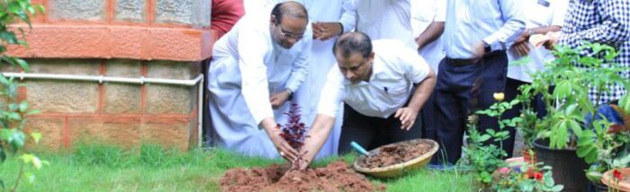 Green Drive kicks off to complement afforestation in Telangana