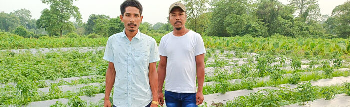 Agriculture could be the key to solving youth unemployment in Assam