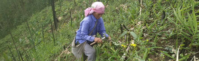 Pi Lalsangliani sets an example for the youth to follow