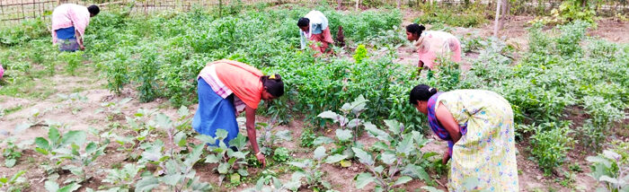 Farming together