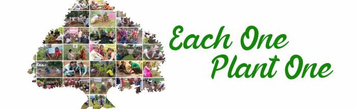 More than a lakh trees planted in Caritas India programs
